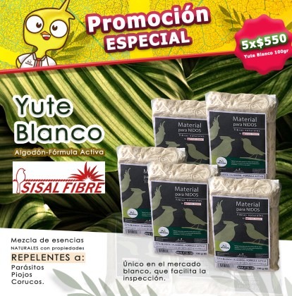 Yute promo 550